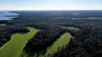 This exceptional Eufaula property is a paradise waiting to be - photo 20