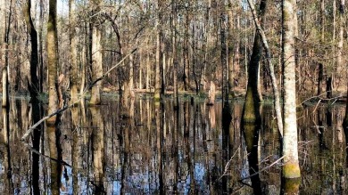 This exceptional Eufaula property is a paradise waiting to be - photo 21