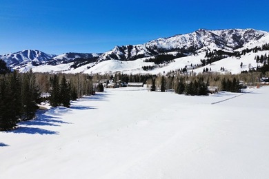Build your dream home just minutes north or town with Baldy - photo 7