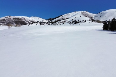 Build your dream home just minutes north or town with Baldy - photo 8