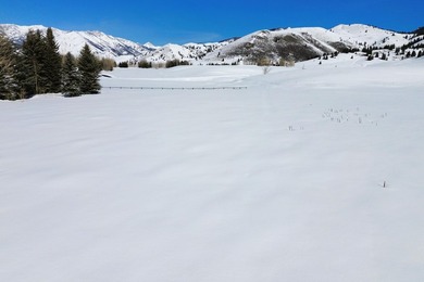 Build your dream home just minutes north or town with Baldy - photo 9