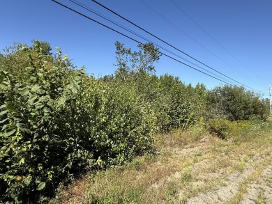 (private lake, pond, creek) Acreage For Sale in Kenduskeag Maine