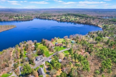 LAKEFRONT w/ Private Dock - photo 29