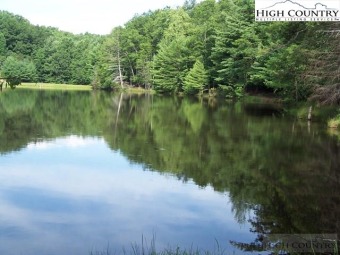 (private lake, pond, creek) Lot For Sale in Deep Gap North Carolina