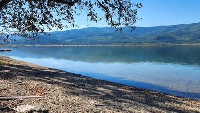 Gorgeous Swan Lake property with 202' frontage and dock located - photo 7