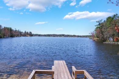 LAKEFRONT w/ Private Dock - photo 27