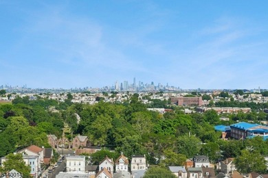 Experience timeless elegance and breathtaking NYC views in this - photo 3