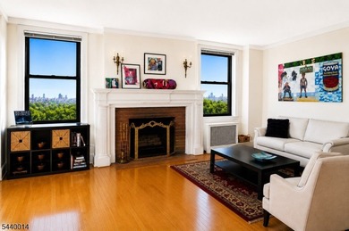 Experience timeless elegance and breathtaking NYC views in this - photo 4