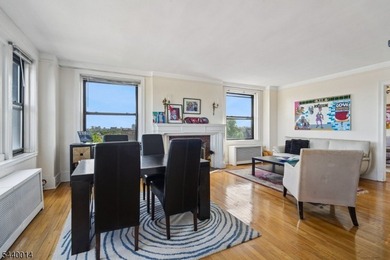 Experience timeless elegance and breathtaking NYC views in this - photo 5