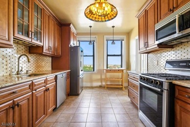 Experience timeless elegance and breathtaking NYC views in this - photo 8