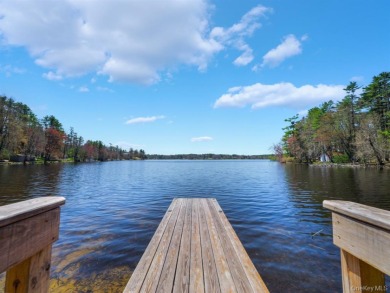 LAKEFRONT w/ Private Dock - photo 5