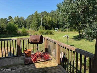 Newly built home in the country with 4 bedrooms, 2 bathrooms - photo 40