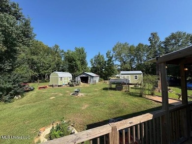 Newly built home in the country with 4 bedrooms, 2 bathrooms - photo 41