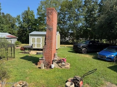 Newly built home in the country with 4 bedrooms, 2 bathrooms - photo 43