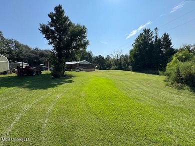 Newly built home in the country with 4 bedrooms, 2 bathrooms - photo 44