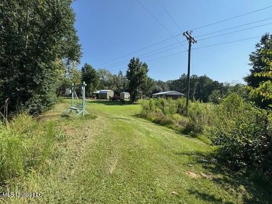 Newly built home in the country with 4 bedrooms, 2 bathrooms - photo 46