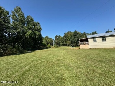 Newly built home in the country with 4 bedrooms, 2 bathrooms - photo 52