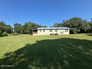 Newly built home in the country with 4 bedrooms, 2 bathrooms - photo 53