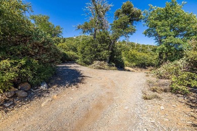 Building on this 12.06-acre parcel would present unparalleled - photo 3