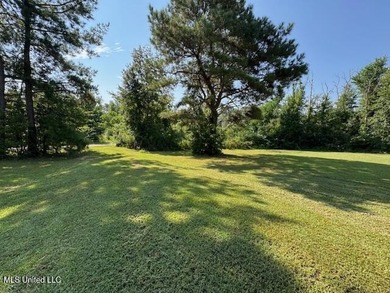 Newly built home in the country with 4 bedrooms, 2 bathrooms - photo 55