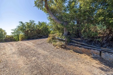 Building on this 12.06-acre parcel would present unparalleled - photo 5