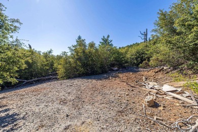 Building on this 12.06-acre parcel would present unparalleled - photo 7