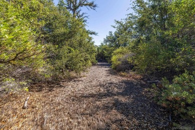 Building on this 12.06-acre parcel would present unparalleled - photo 9