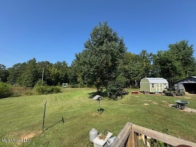 Newly built home in the country with 4 bedrooms, 2 bathrooms - photo 60