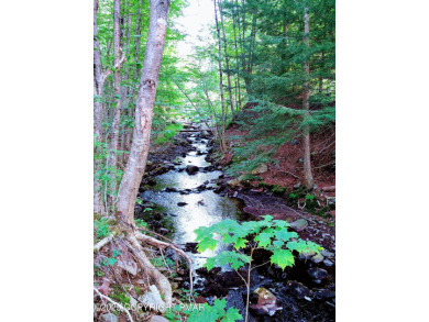 (private lake, pond, creek) Acreage Sale Pending in Gouldsboro Pennsylvania
