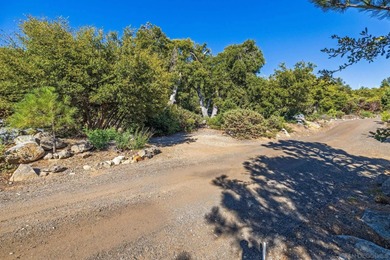 9.74 Acres with stunning panoramic views of mountains to the - photo 4