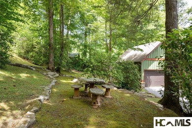 Positioned just on the Glenville edge of Cashiers at 3,700 feet - photo 12