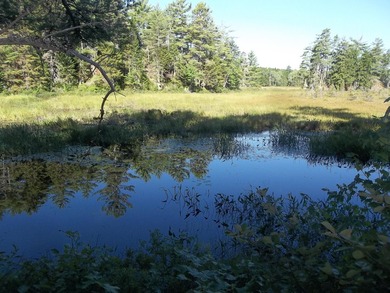 1.50 acres with 238' shorefront, power at site, driveway & - photo 2