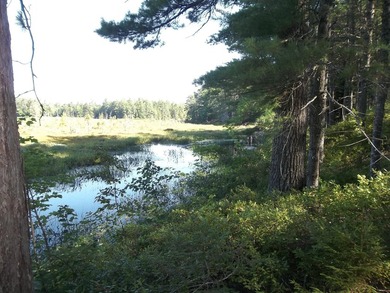 1.50 acres with 238' shorefront, power at site, driveway & - photo 3