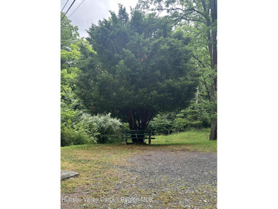 Charming Updated 2-Bedroom, 1-Bath Single-Family Home in a - photo 14
