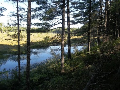 1.50 acres with 238' shorefront, power at site, driveway & - photo 5