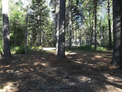 1.50 acres with 238' shorefront, power at site, driveway & - photo 6