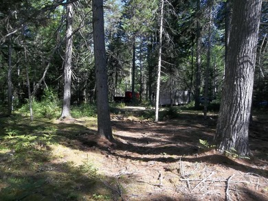 1.50 acres with 238' shorefront, power at site, driveway & - photo 8