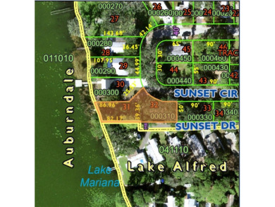 Lake Lot For Sale in Lake Alfred, Florida