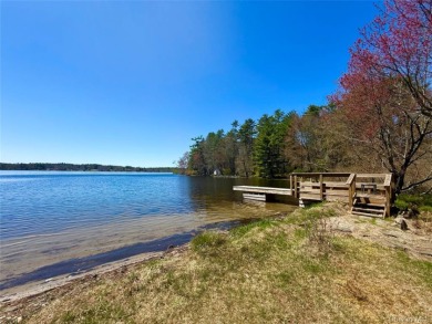 LAKEFRONT w/ Private Dock - photo 1