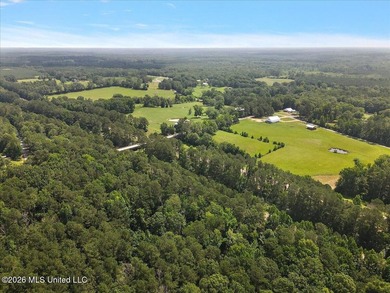 Turn-Key Cattle Farm on 43.5 surveyed Acres with Immaculate - photo 33