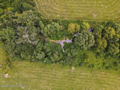 Turn-Key Cattle Farm on 43.5 surveyed Acres with Immaculate - photo 44