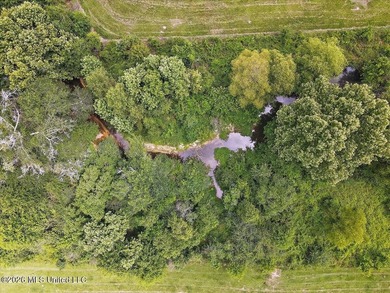 Turn-Key Cattle Farm on 43.5 surveyed Acres with Immaculate - photo 45