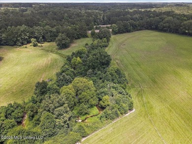 Turn-Key Cattle Farm on 43.5 surveyed Acres with Immaculate - photo 46