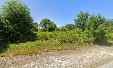 Lehigh Acres Area Lot For Sale in Lehigh Acres Florida