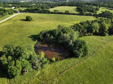 Table Rock Lake - Carroll County Acreage For Sale in Eureka Springs Arkansas