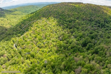 Saddle Camp is a private 10.48-acre mountain retreat within the - photo 12