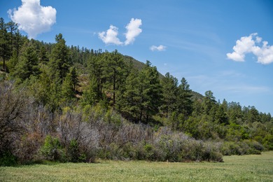 Ripple Valley Ranch is +-410 acre and is an absolutely premier - photo 14