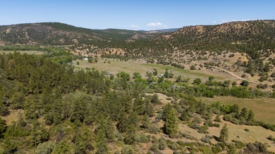 Ripple Valley Ranch is +-410 acre and is an absolutely premier - photo 15