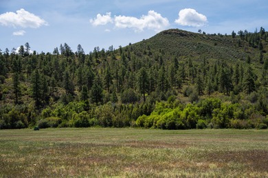 Ripple Valley Ranch is +-410 acre and is an absolutely premier - photo 19