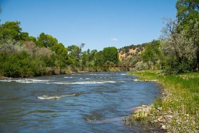 Ripple Valley Ranch is +-410 acre and is an absolutely premier - photo 21